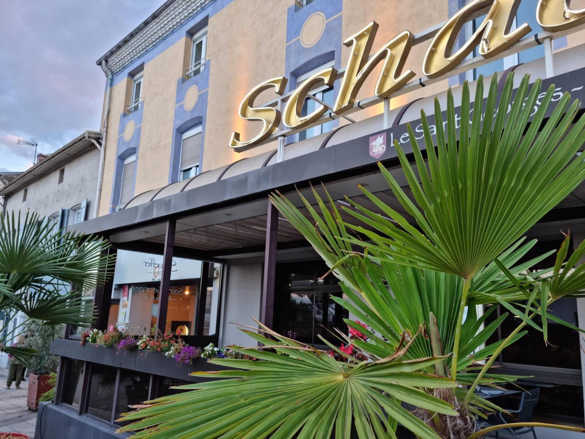 Logis Hotel Schaeffer- Restaurant Le Saint Georges Serrieres  Ngoại thất bức ảnh