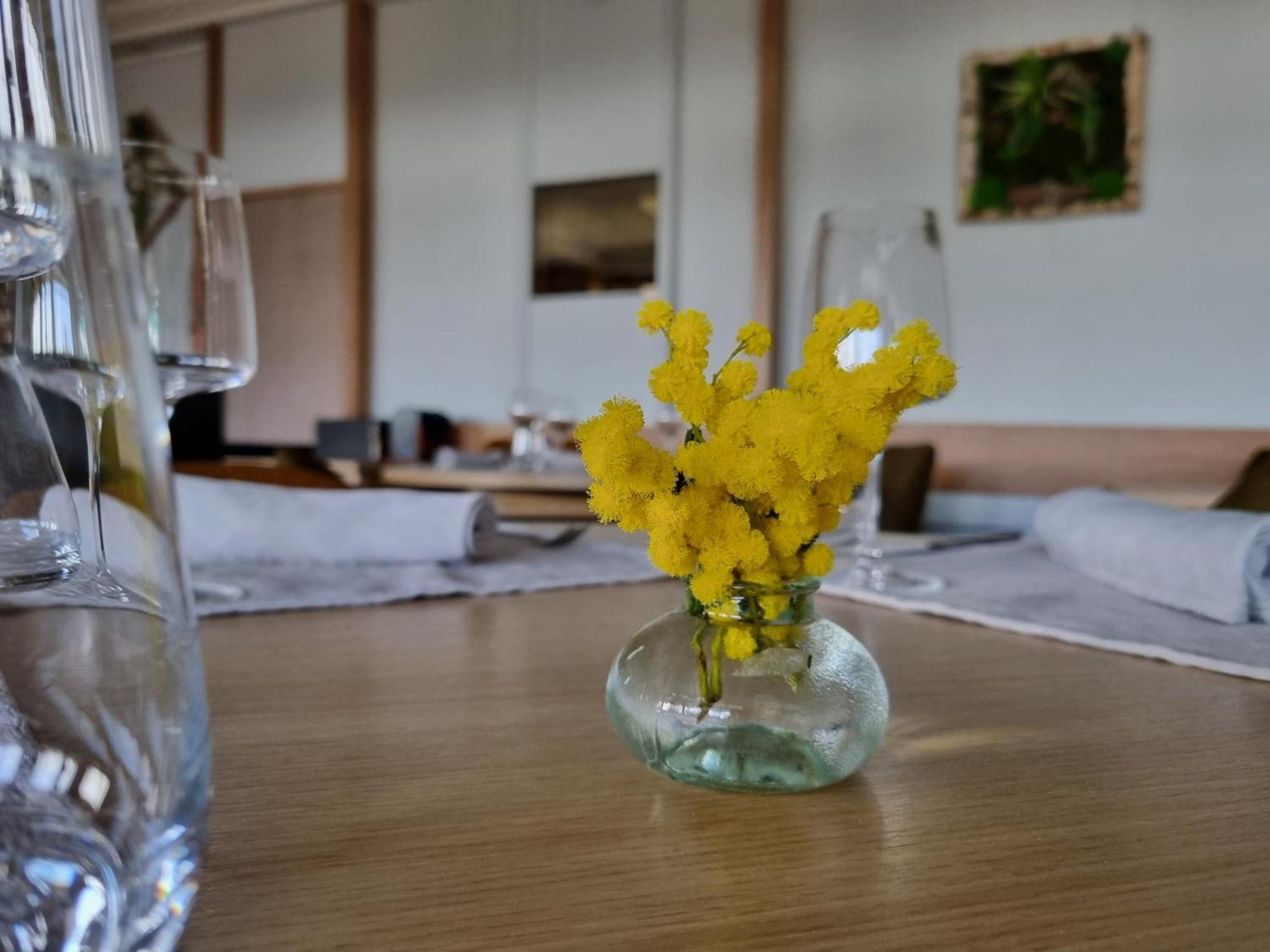 Logis Hotel Schaeffer- Restaurant Le Saint Georges Serrieres  Ngoại thất bức ảnh